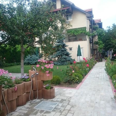Zoi Residence Костинешти Экстерьер фото