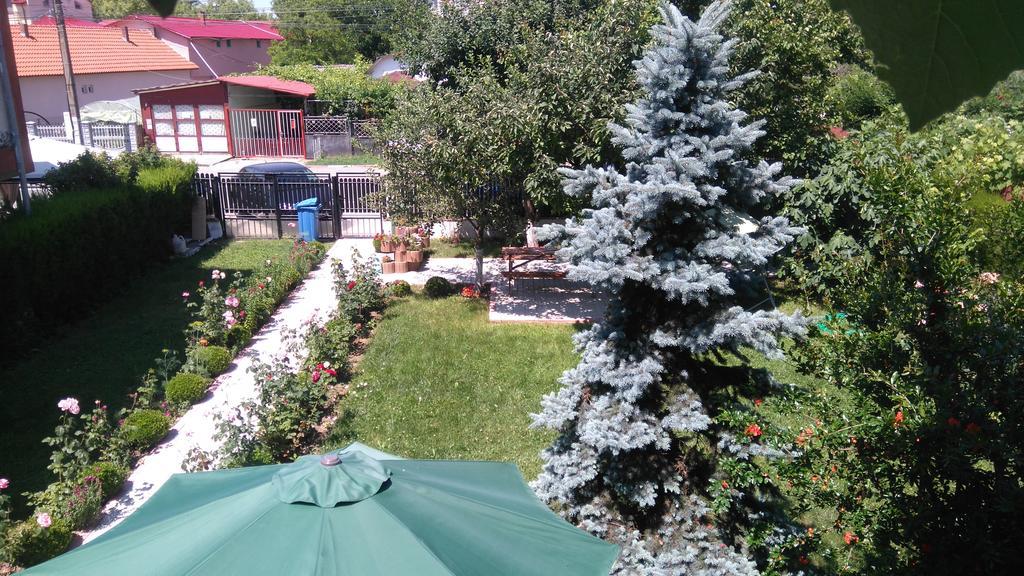 Zoi Residence Костинешти Экстерьер фото