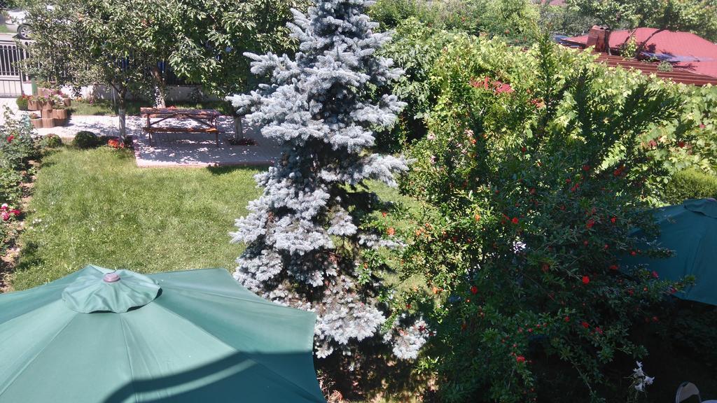 Zoi Residence Костинешти Экстерьер фото